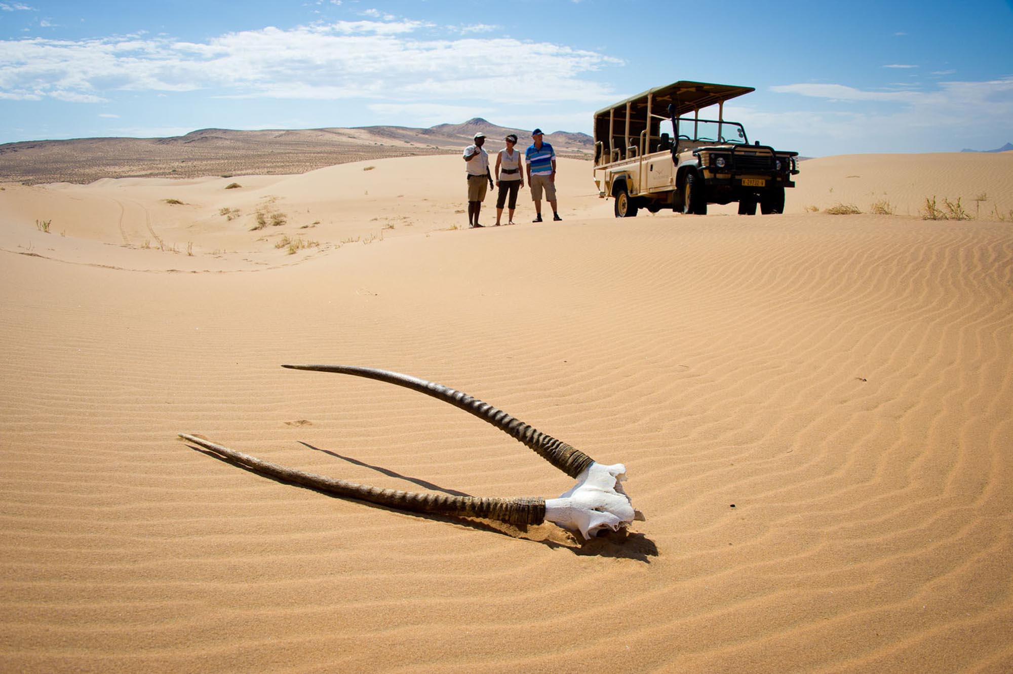 Skeleton Coast - Desert
