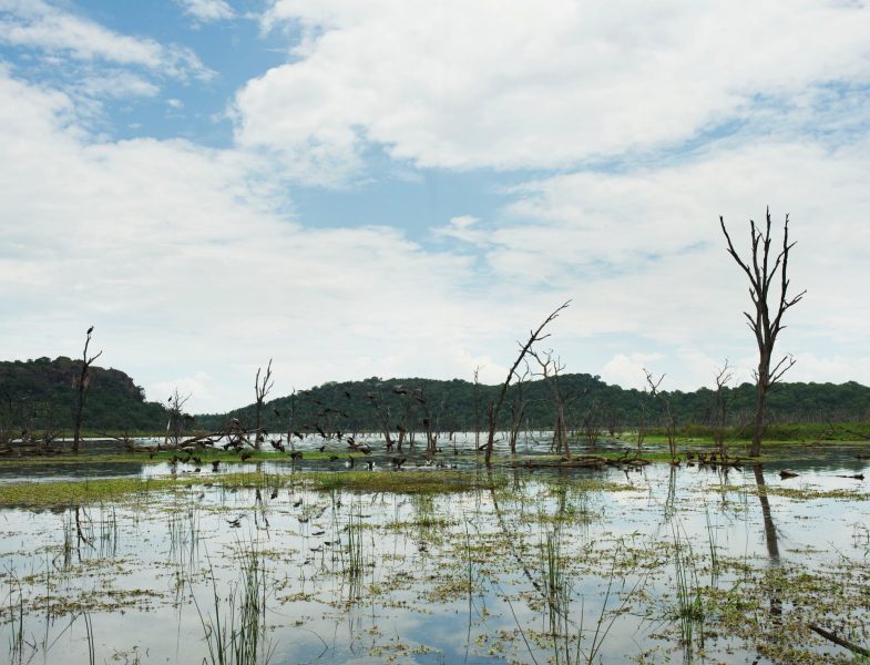 Mana Pools National Park