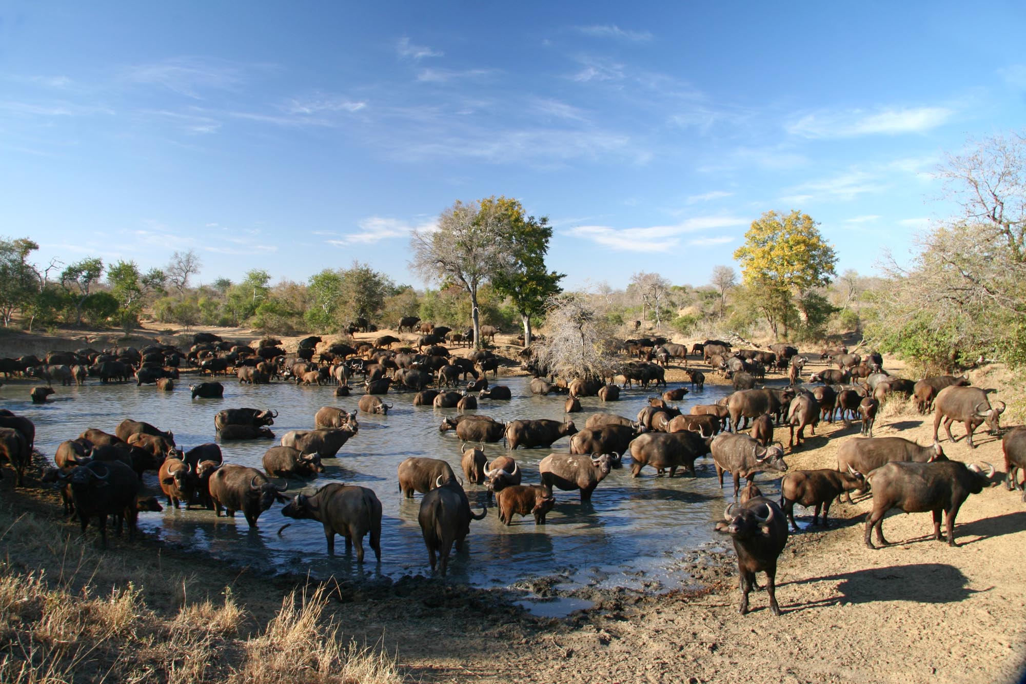 The Timbavati Private Nature Reserve