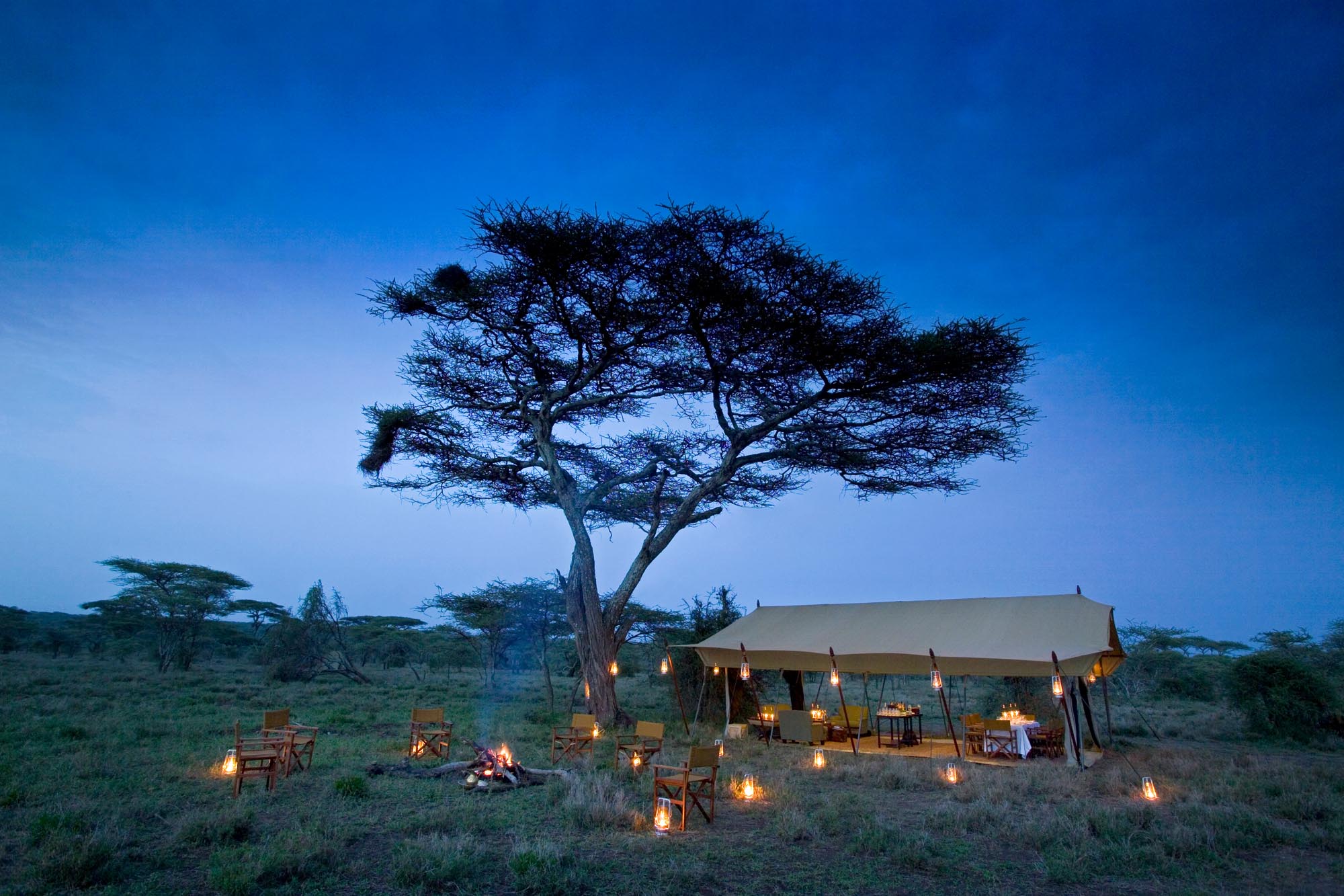 Serengeti Under Canvas