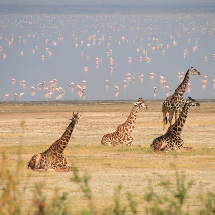Lake Manyara