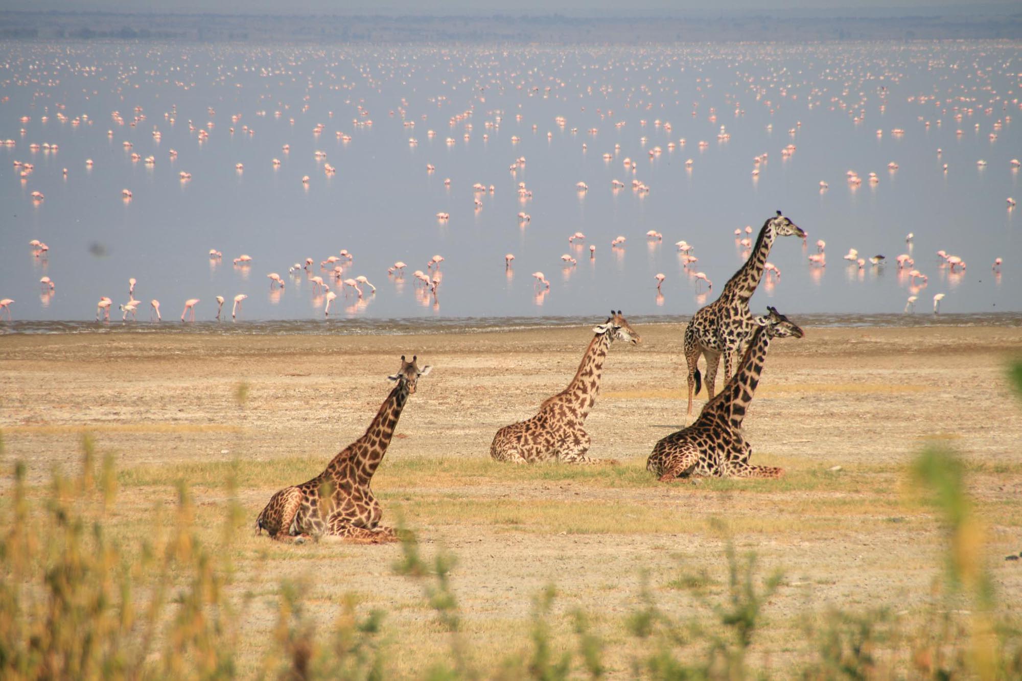 Lake Manyara