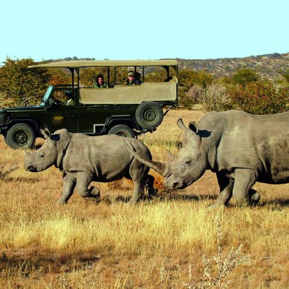 Little Ongava Wilderness Safaris