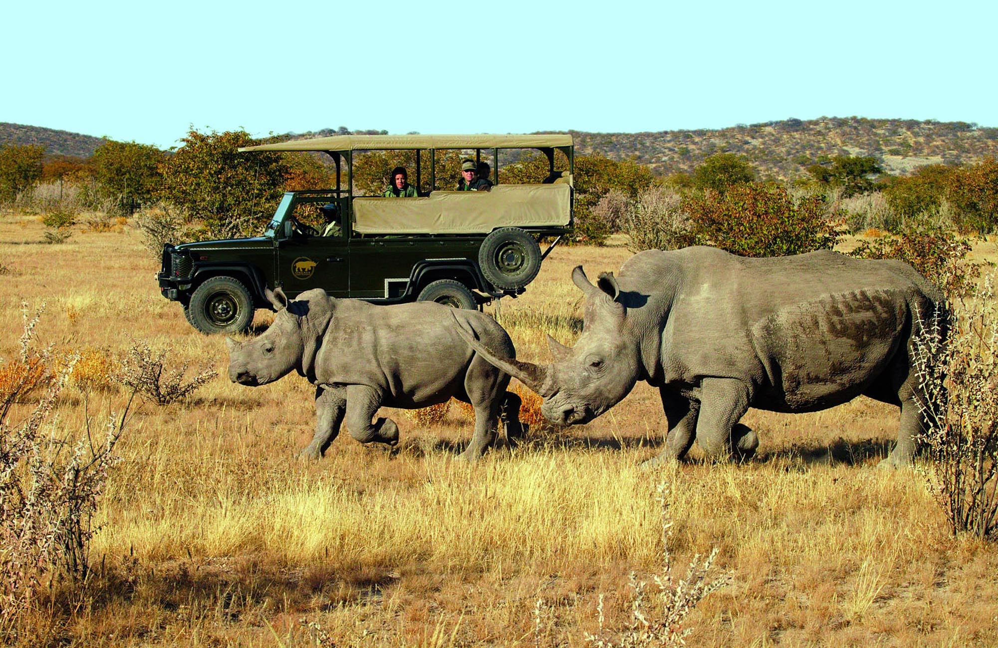 Little Ongava Wilderness Safaris