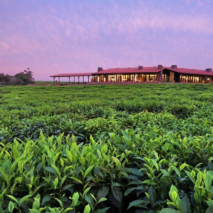 Nyungwe Forest Lodge