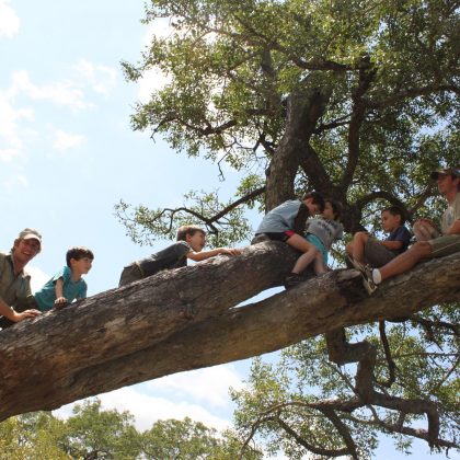 Family climbing a tree