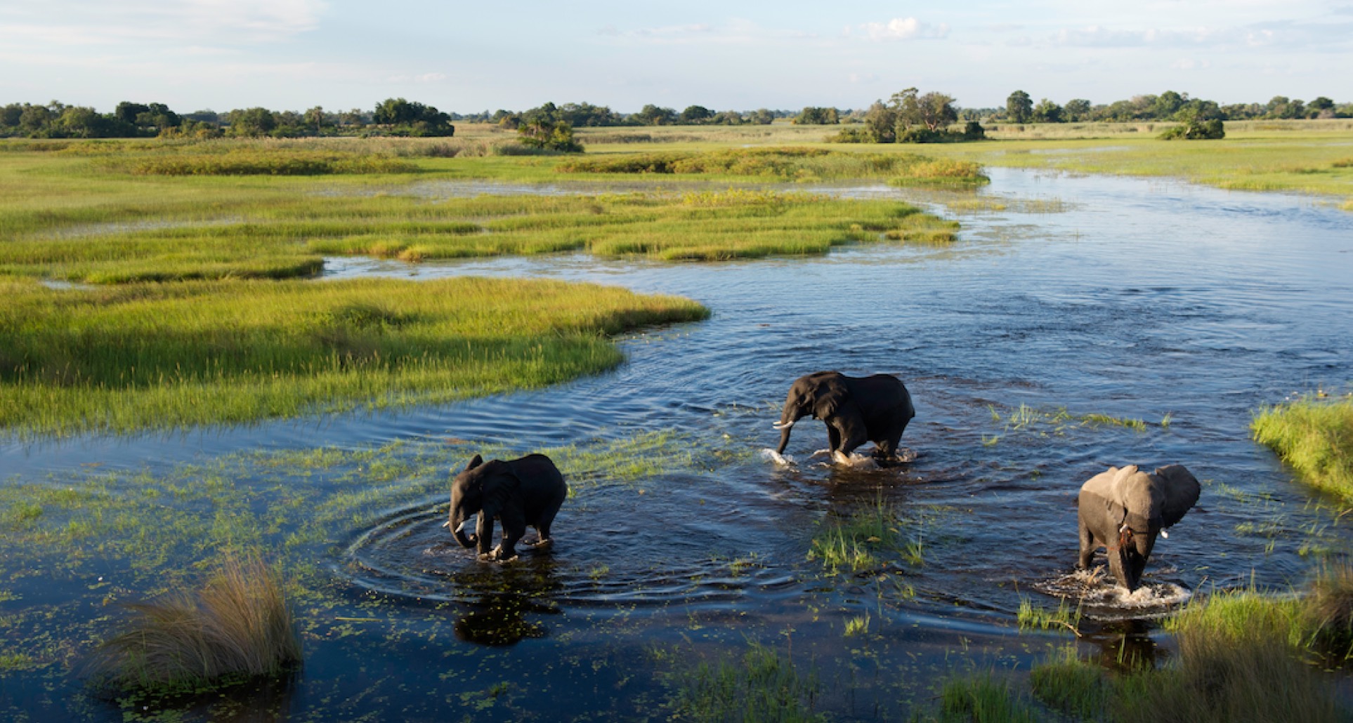 our stories - timeless Africa safaris
