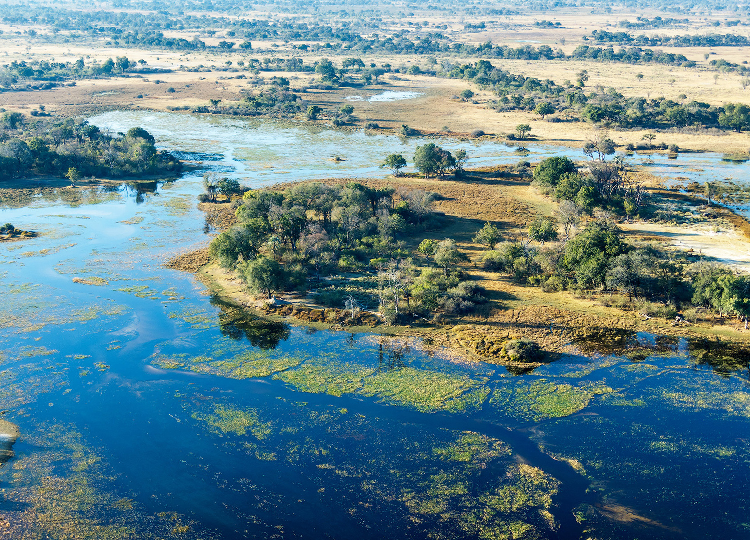 Okavango Delta, Botswana