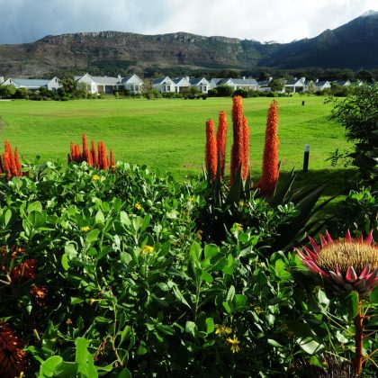 Golfing course in Africa