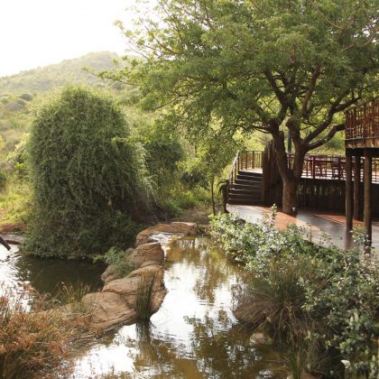 thanda-private-game-reserve