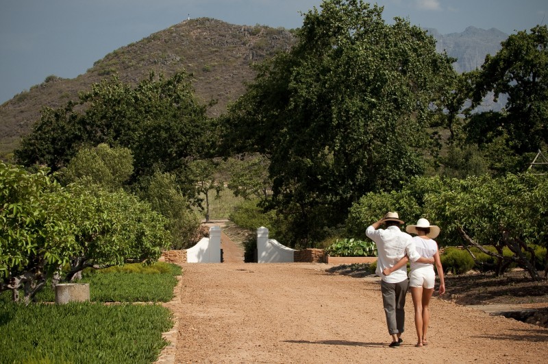 Babylonstoren, Cape Winelands