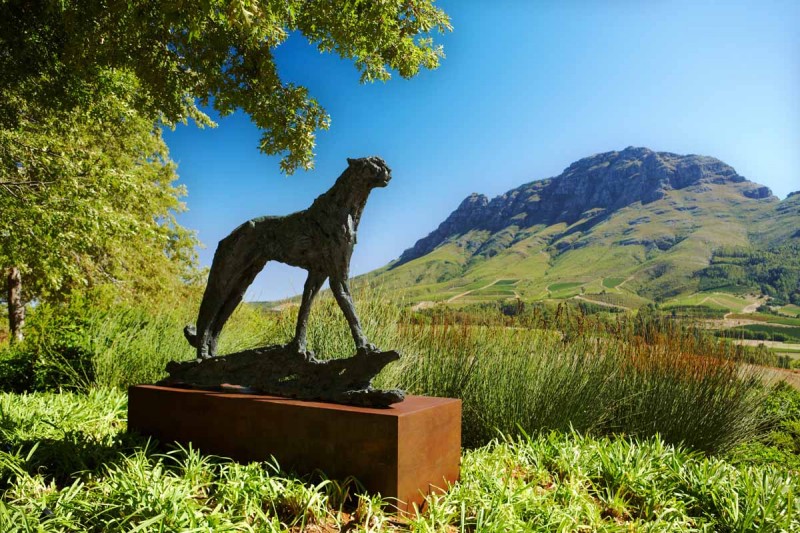 Dylan Lewis, Delaire Graff - Beyond wine