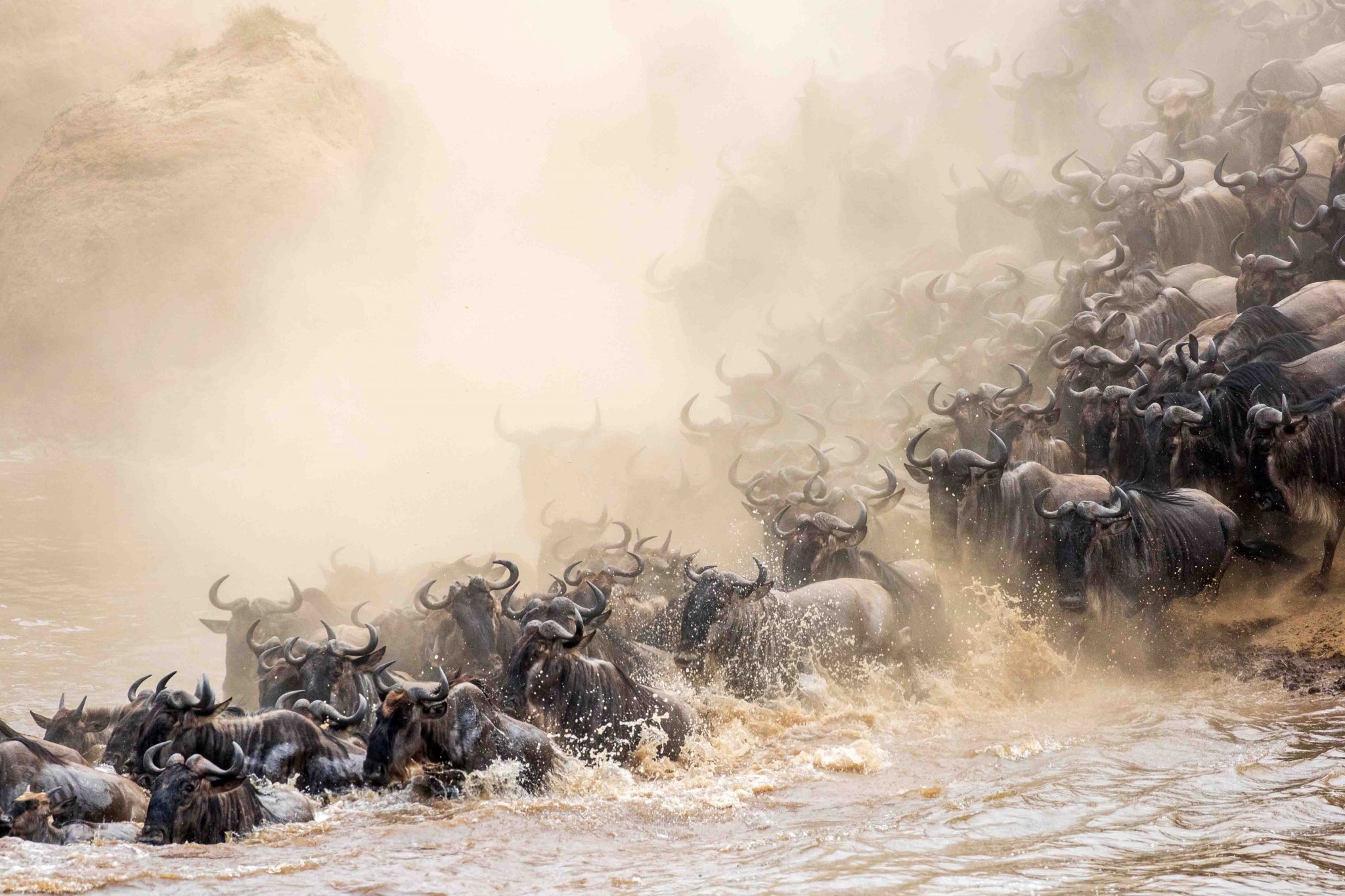 The Great Migration at Angama Mara - Safari and Sea 