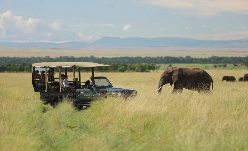 Angama Mara - Timeless Africa Safaris