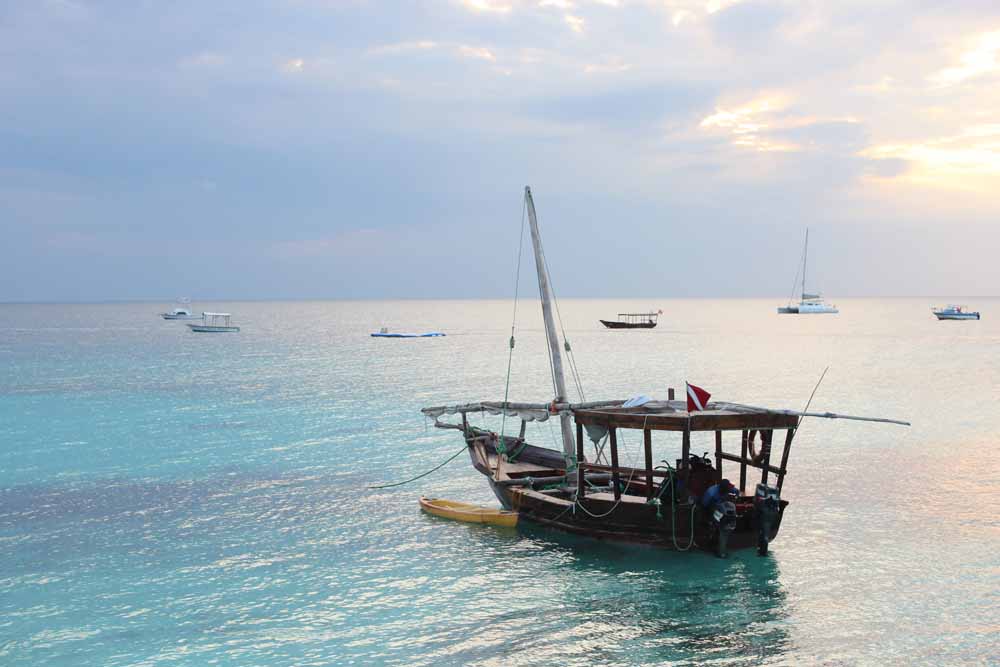 Transformed : Louise Engelbrecht