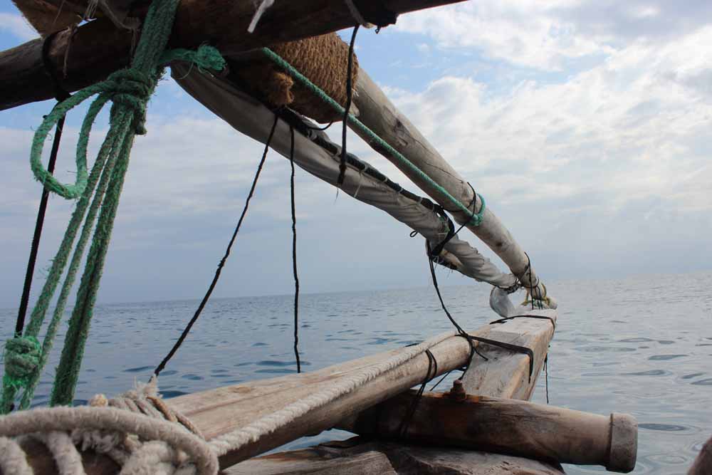 Transformed : Louise Engelbrecht