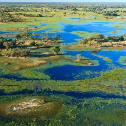 Okavango Delta