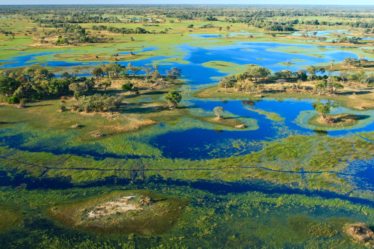 Okavango Delta