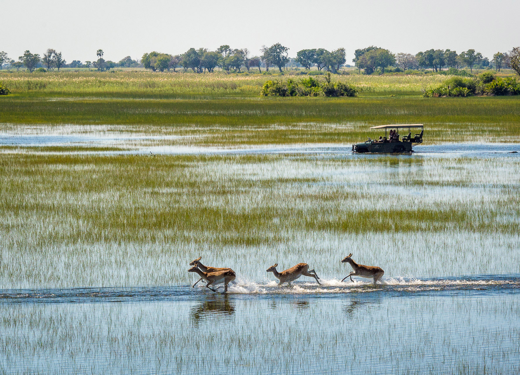 Jao Camp, Botswana