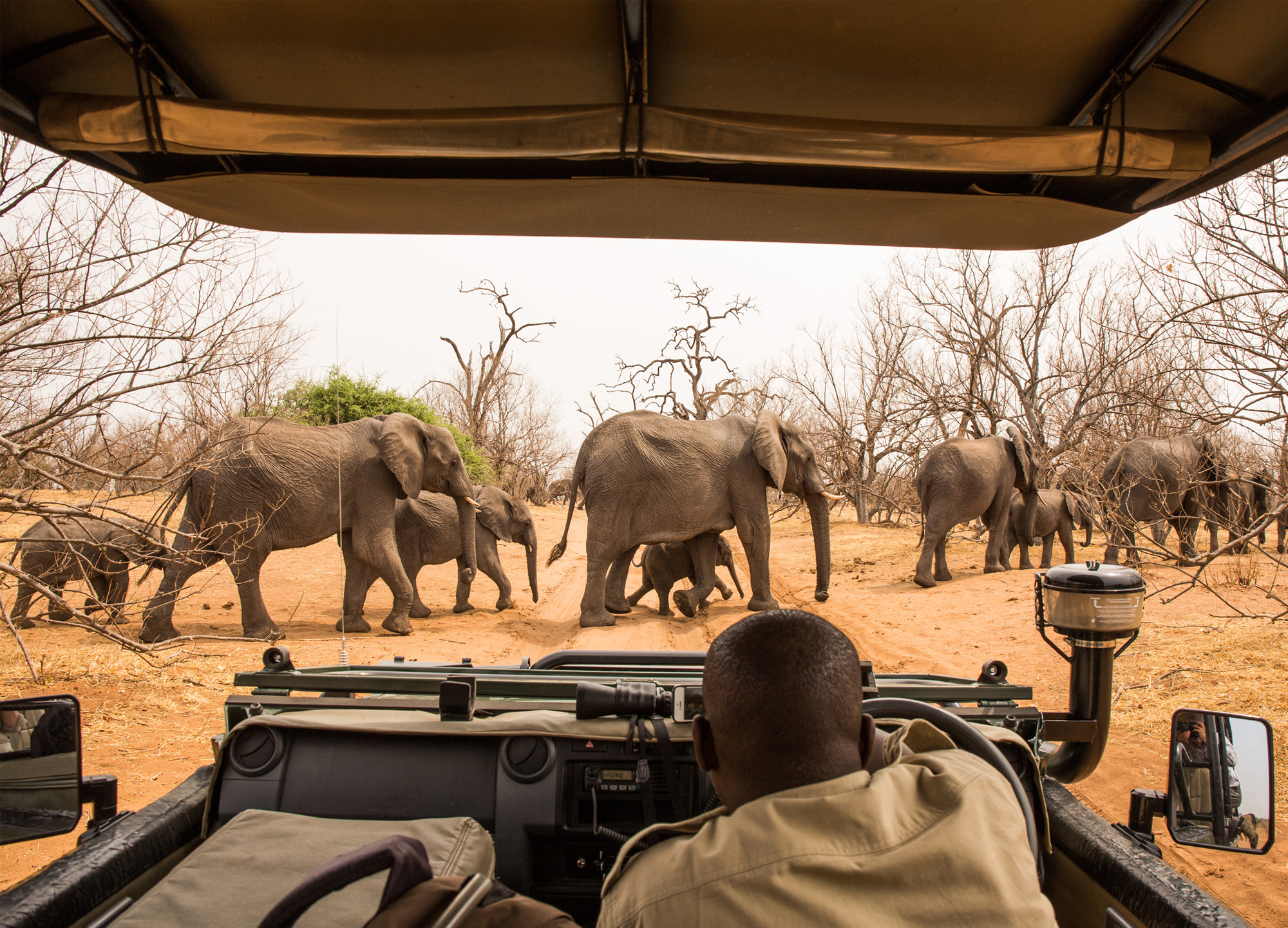 Chobe National Park, Botswana