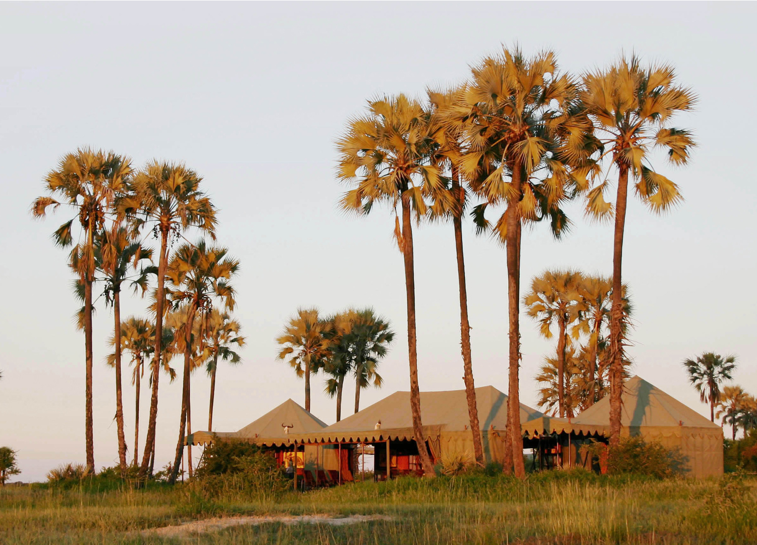 Jack's Camp, Makgadikgadi Pans National Park