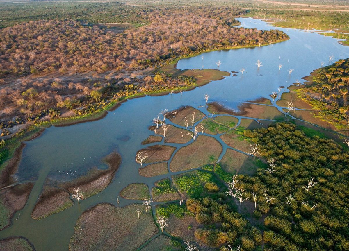 Linyanti & Savuti, Botswana