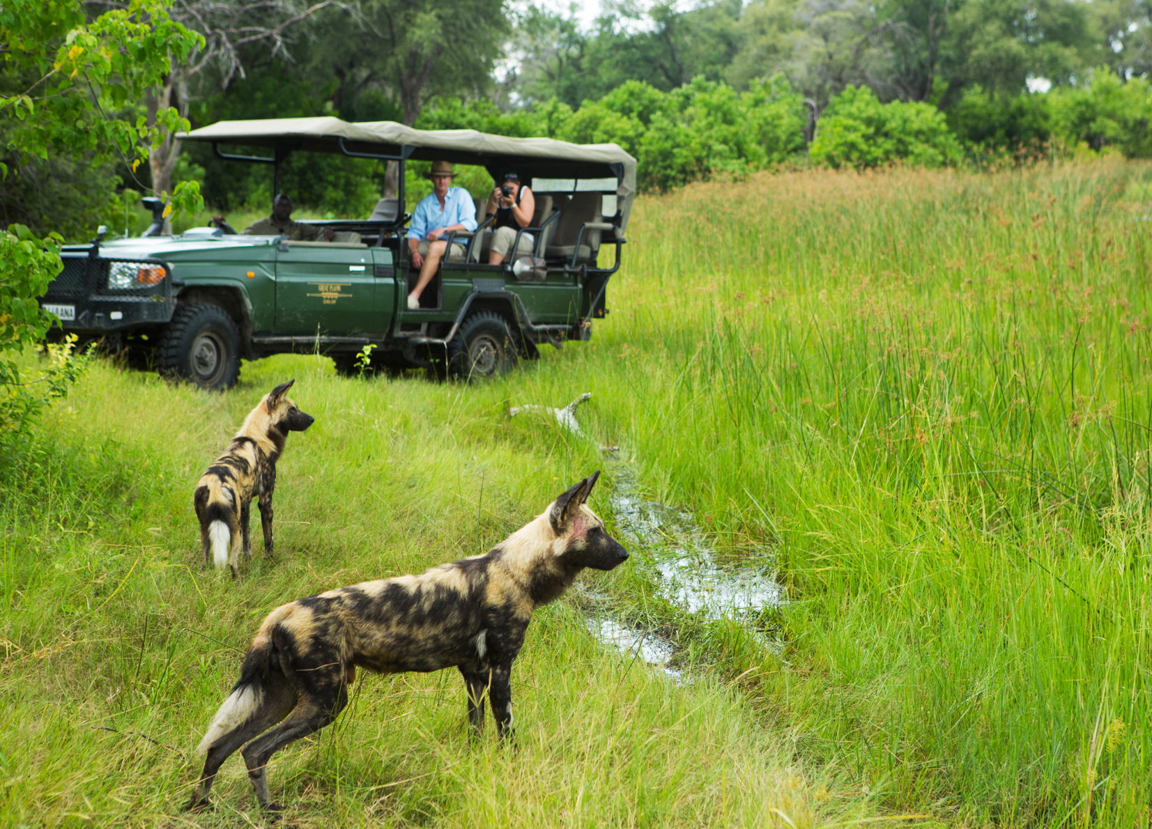 Selinda Camp, Botswana