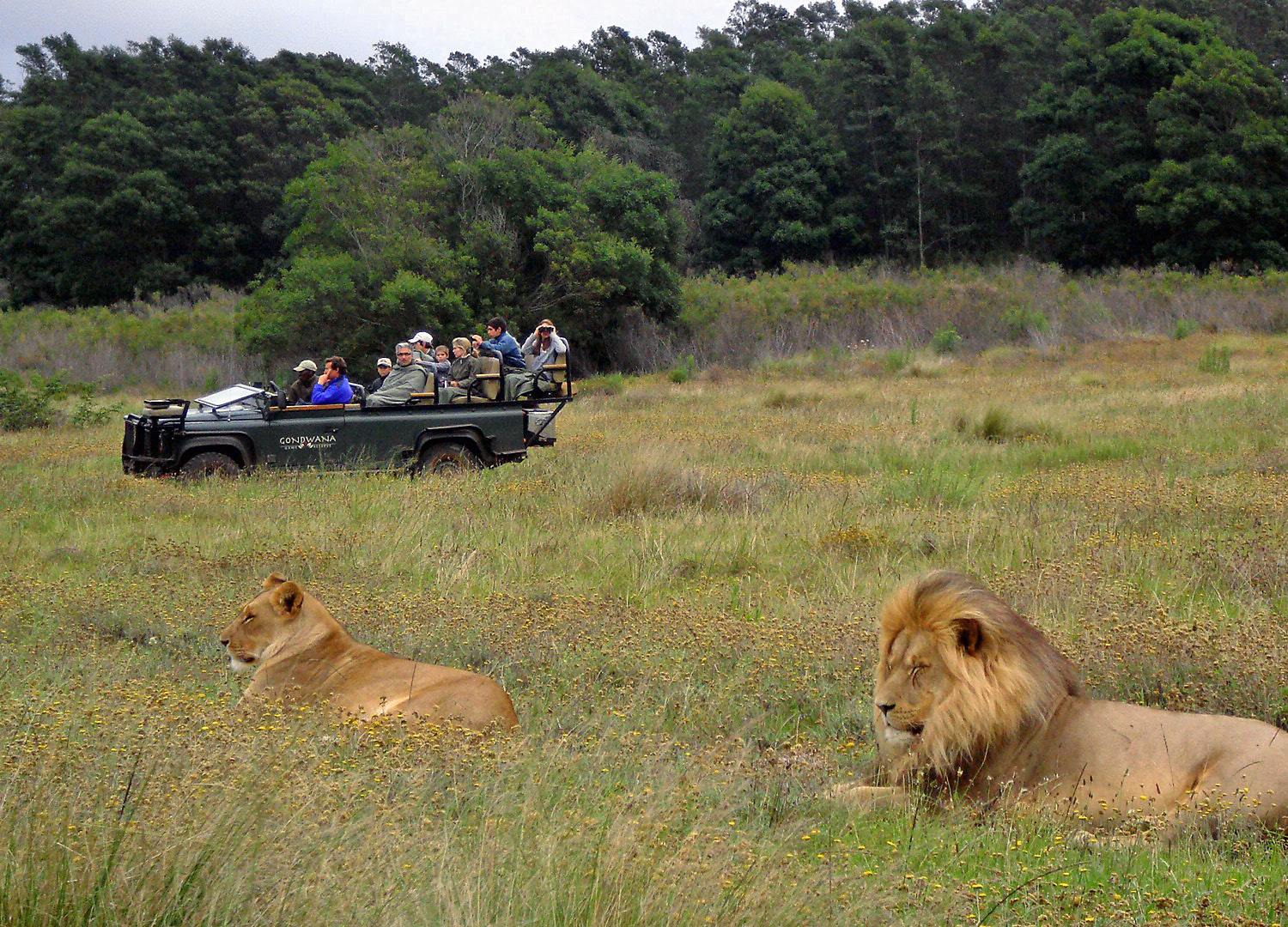 gondwana _game_reserve_1