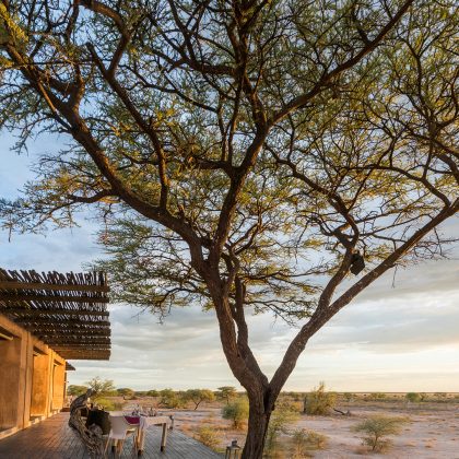 onguma _the_ fort _1