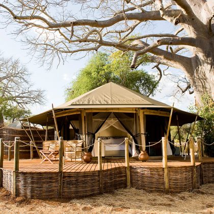 sanctuary _ swala _1