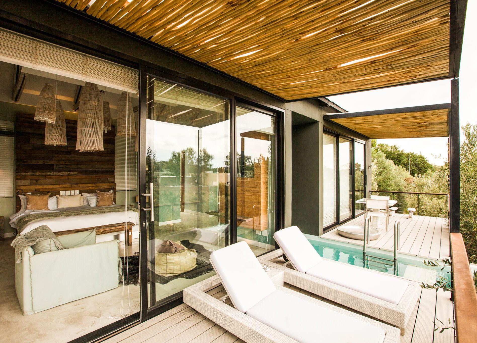 the_ olive _exclusive_2