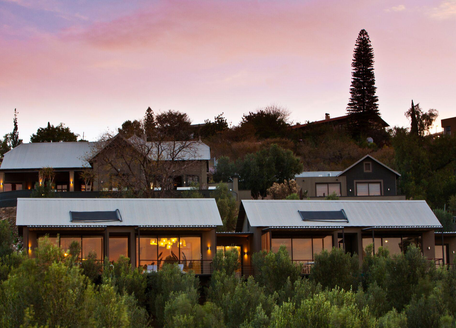 the_ olive _exclusive_3