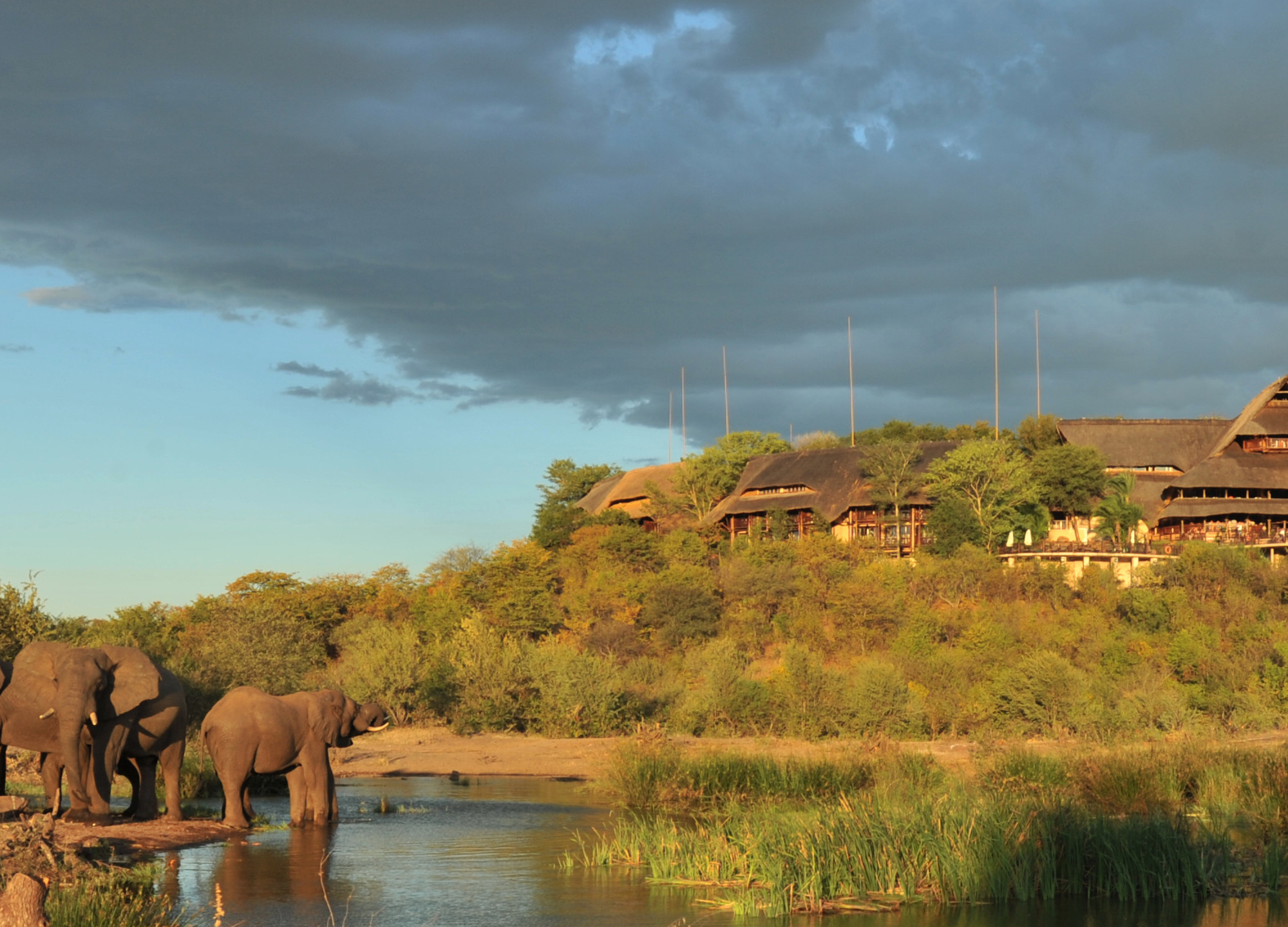 vic_ falls _safari_lodge_1