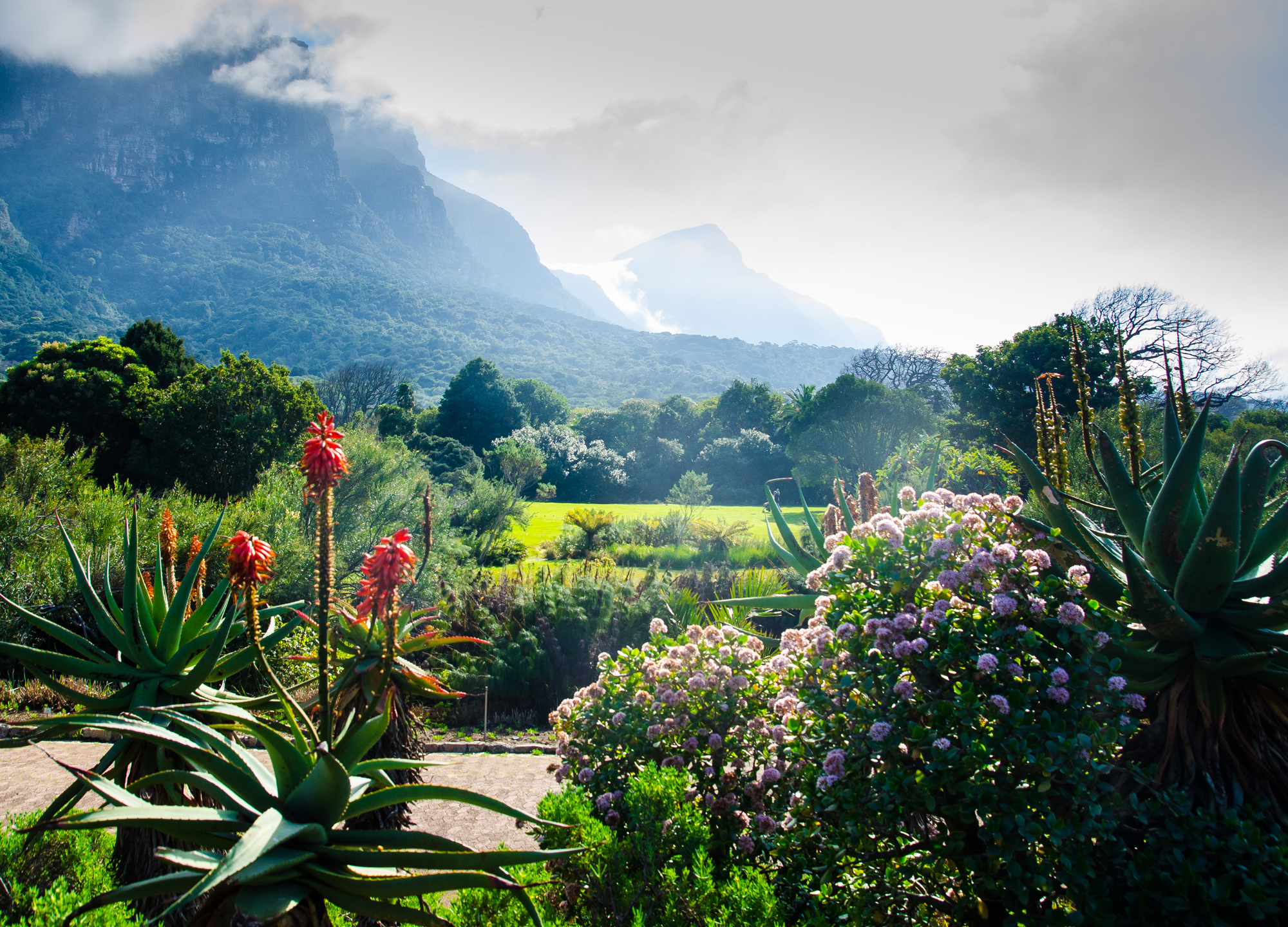 Kirstenbosch Botanical Gardens