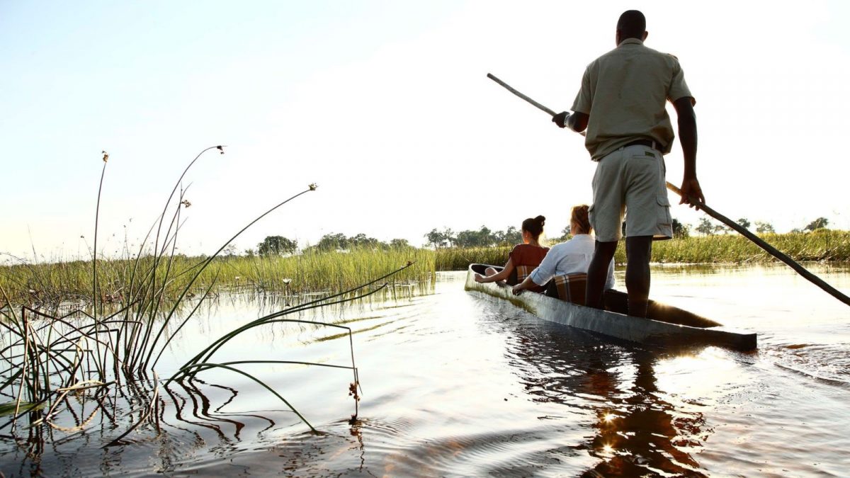 Exploring the Okavango Delta on a traditional mokoro