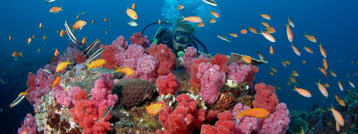 Sodwana Bay, South Africa