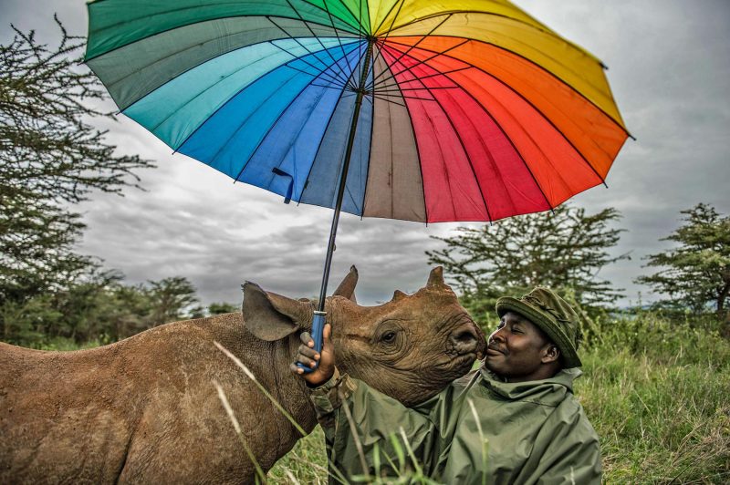 Rhino conservation