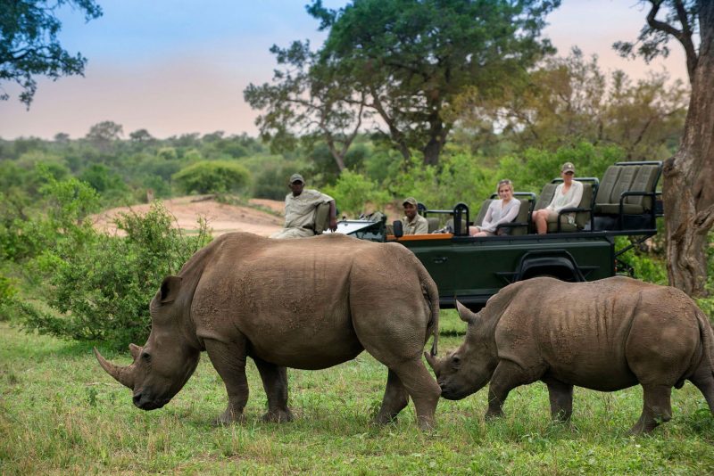 Rhinos seen while on a game drive at Tanda Tula