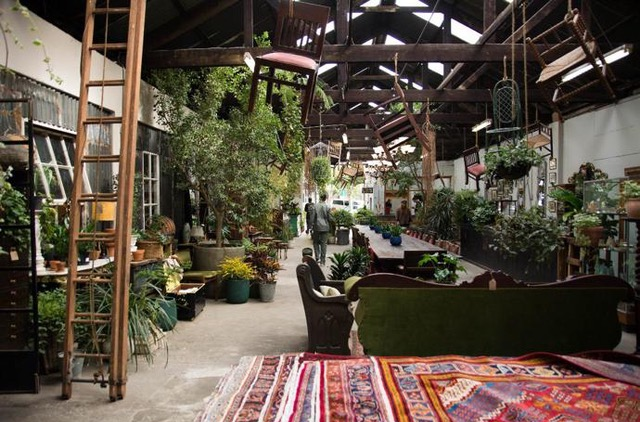 Restaurant of the Month: Our Local