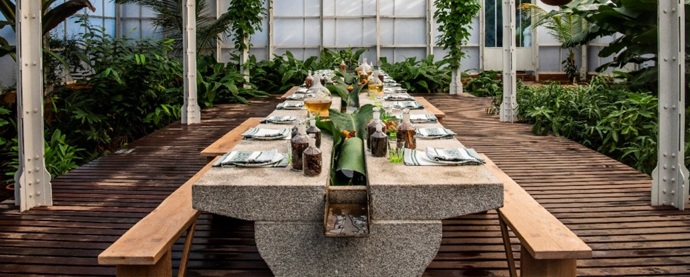 Lunch in the Garden at Babylonstoren