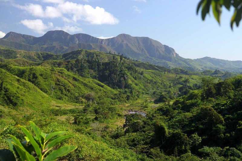Madagascar landscape