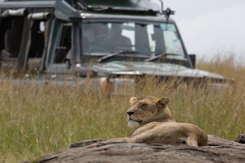 Game Drive