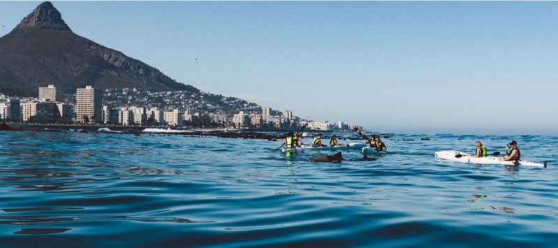 Atlantic kayaking in Cape Town