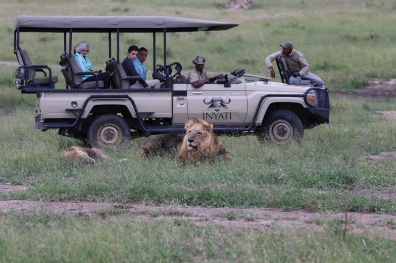 Game drive at Inyati Game Lodge