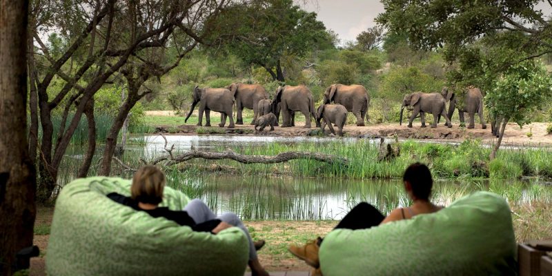 Relaxation at Tanda Tula Safari Camp