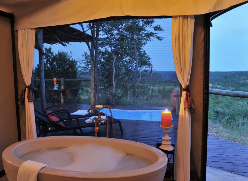 The Elephant Camp, Zimbabwe
