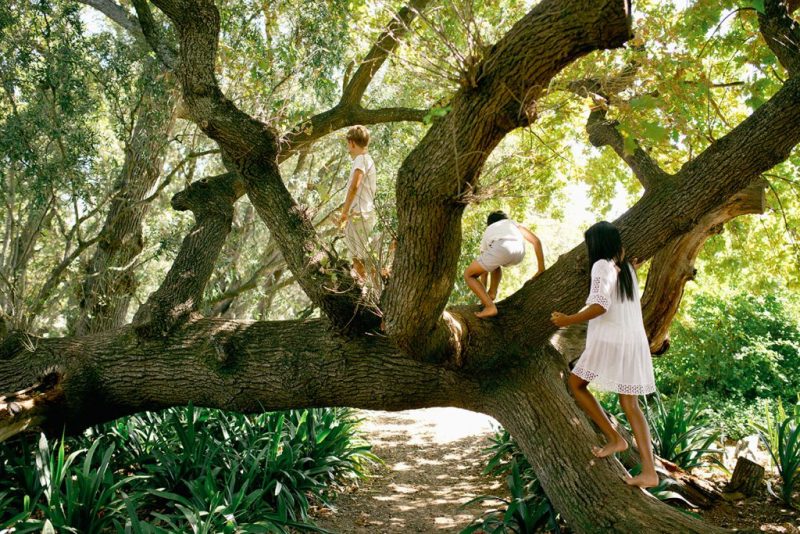 Kids playing at Babylonstoren
