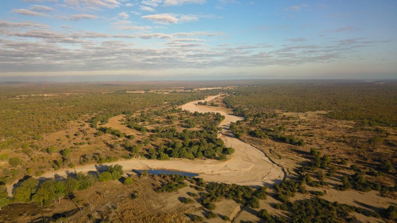 South Luangwa, Zambia