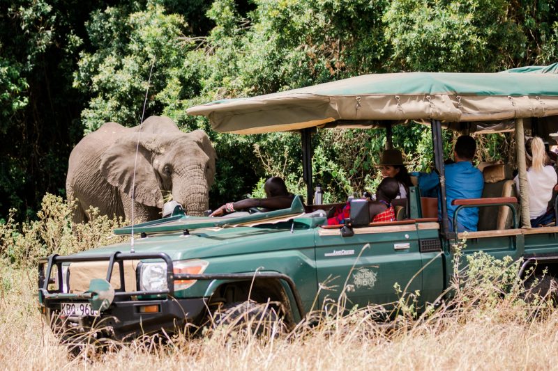 Cottars safari_valorie_darling_photography 