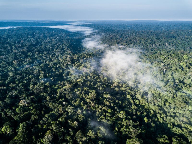 The Republic of Congo- The Heart of Africa’s Rainforest